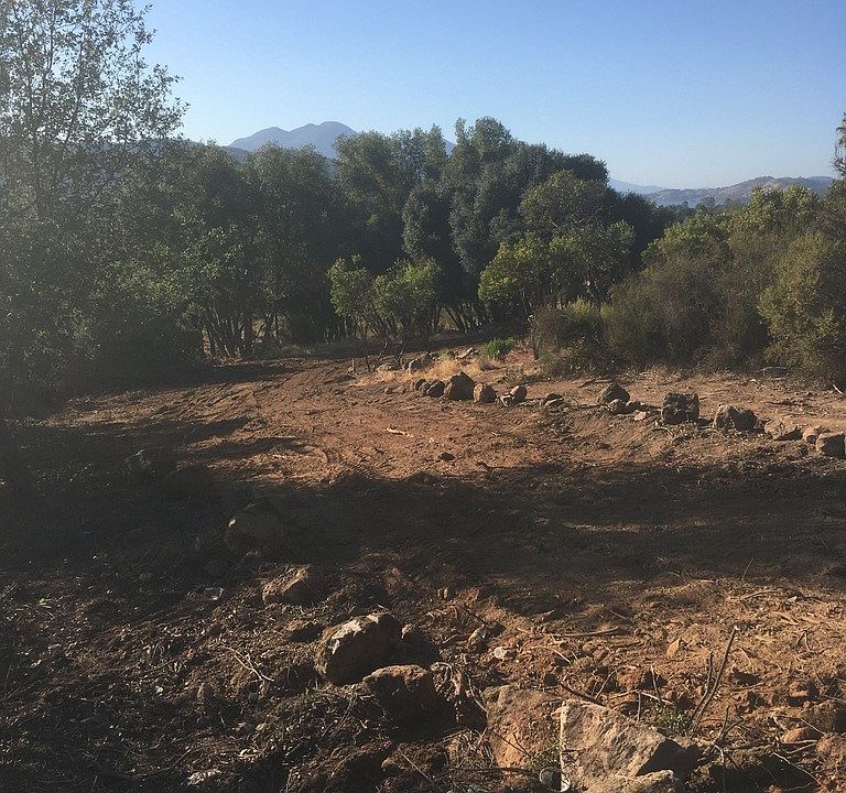 2nd image of 15628 19th Ave