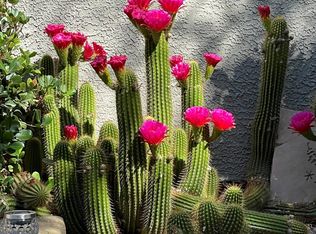 5751 N Kolb Rd UNIT 11101, Tucson, AZ 85750