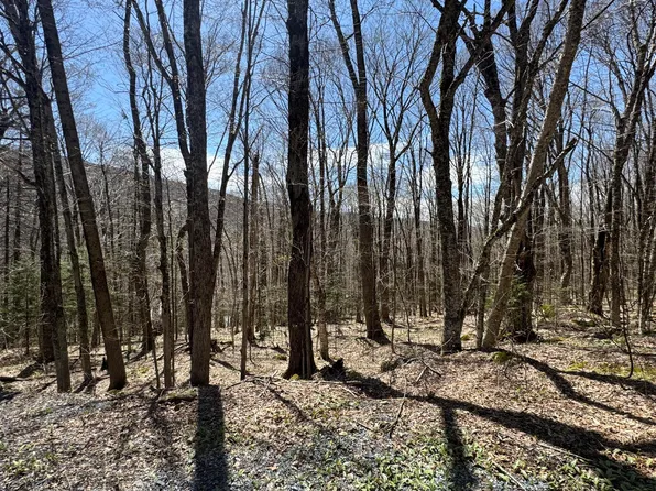 92 Alpendorf Ave, Readsboro, VT 05350