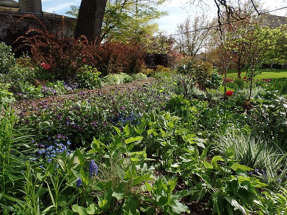 FY garden