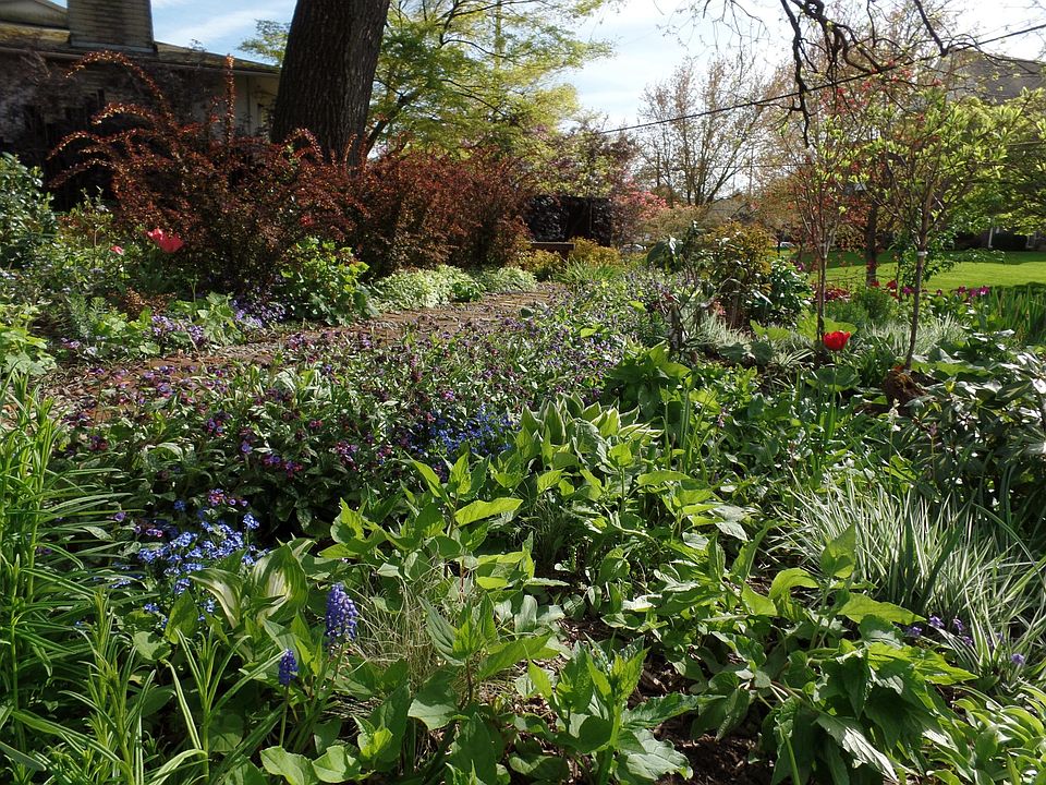 FY garden
