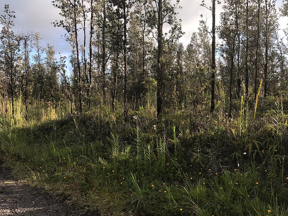2nd image of Road 8