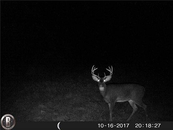5th image of 21101 E County Road 1700n