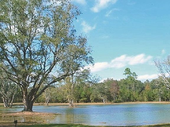 5th image of Morgan Farm Dr #18
