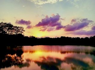 1005 Holden Rd, Poplarville, MS 39470