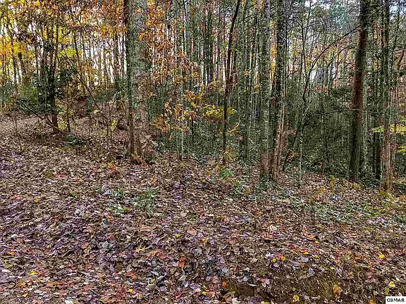 3rd image of 8 Bluebird Ridge Way Lot 8