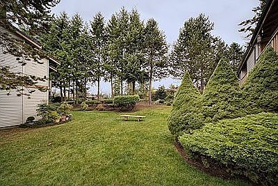 What a view from the patio!