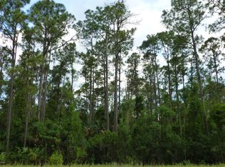 1190 Gopher Slough Rd, Mims, FL 32754