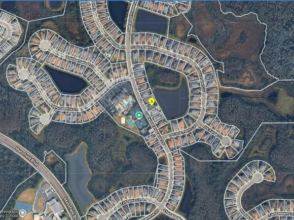 2580 Oakwood Preserve Dr, Zephyrhills, FL 33543