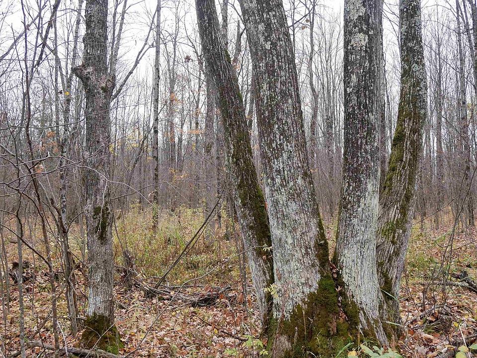 1st image of 4.70 Acres US HIGHWAY 8