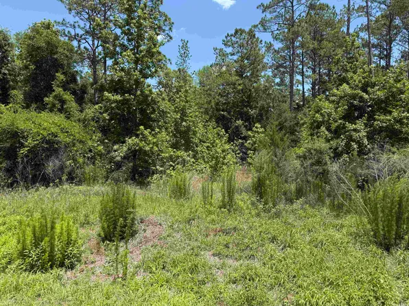 47 Blackfoot Rd, Crawfordville, FL 32327
