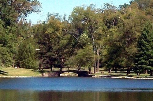 Shelby Park