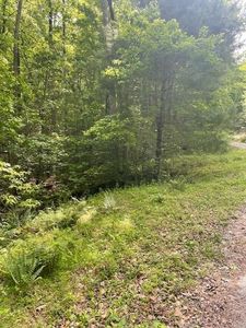 0 McCormick Dr #30/31, Dawsonville, GA, 30534