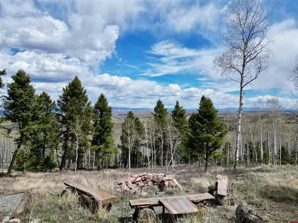 6001 County Road 25, Powderhorn, CO 81243