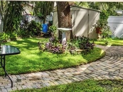 235 12th Ave S, Safety Harbor, FL, 34695