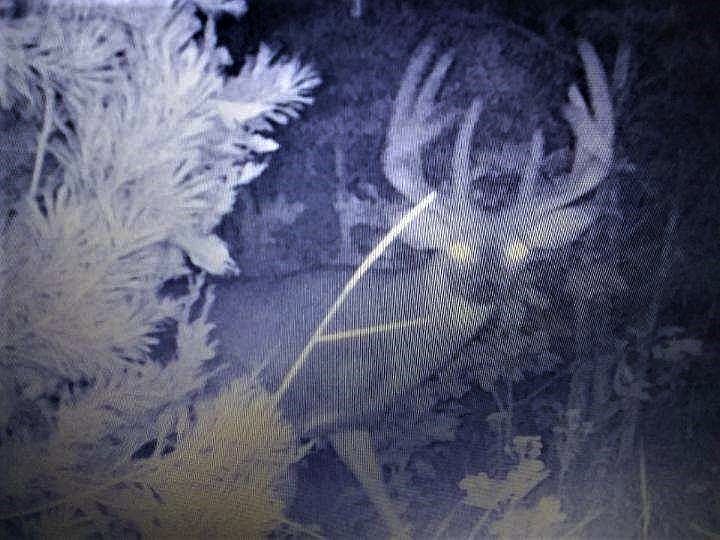 1st image of 637 Lake Road