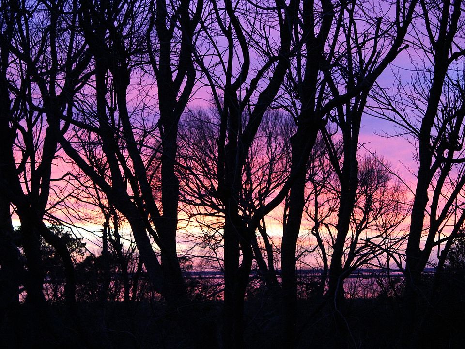 Every night or something close to!!