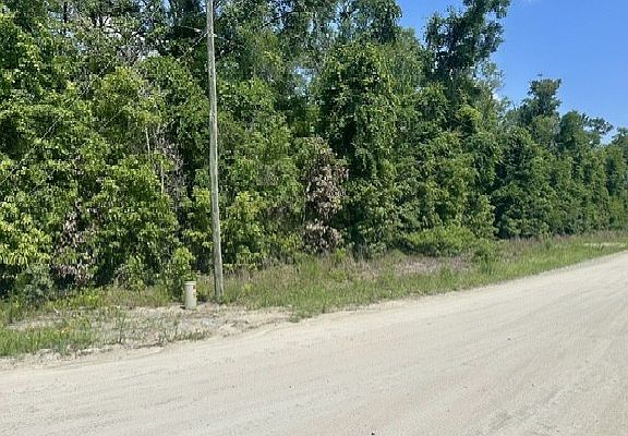 2nd image of 0 284th St