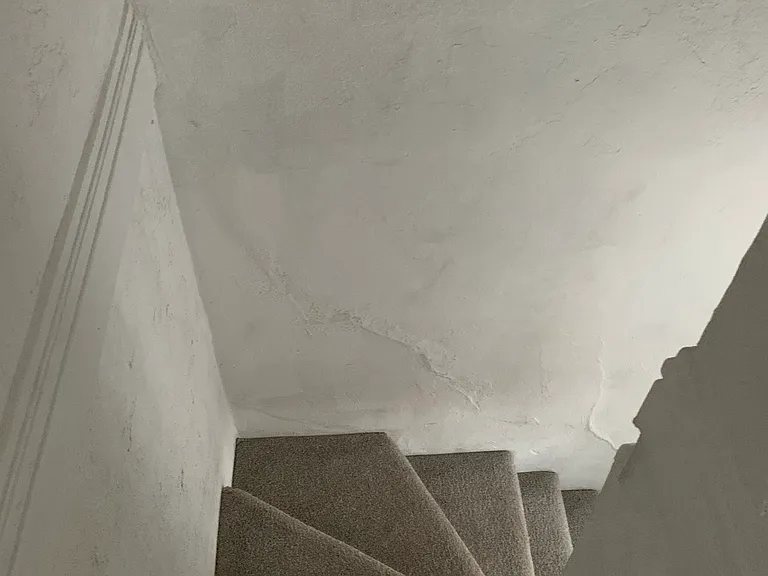 883 Knox Ct — Photo 14