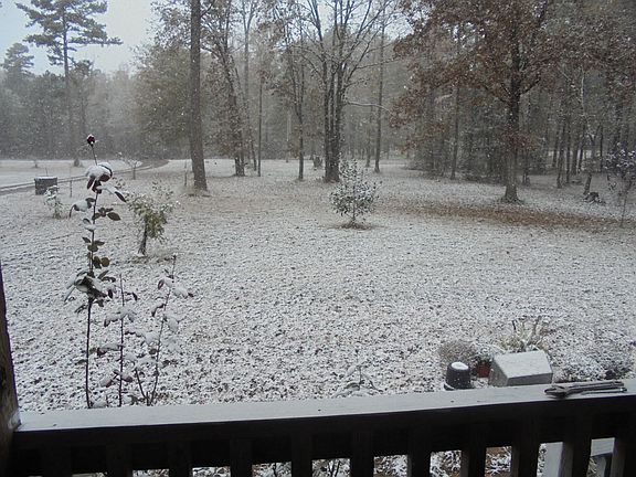 Your Own Country View