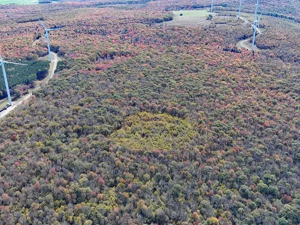 Ringer Rd, Salisbury, PA 15558