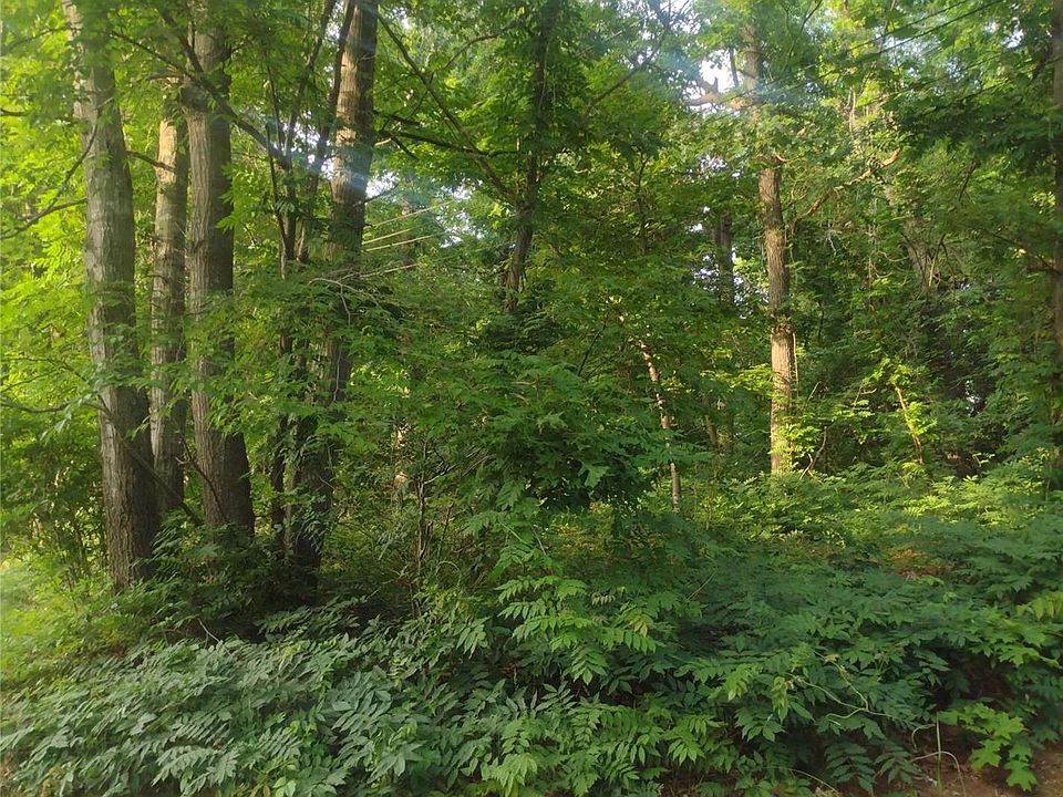2nd image of Cedar Ln