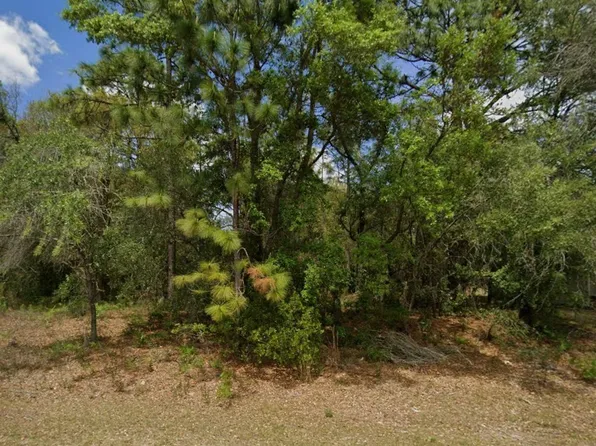 1895 W Hampshire Blvd, Citrus Springs, FL 34434