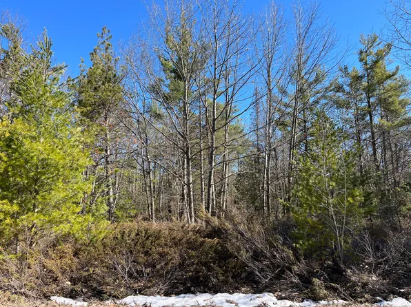 L-403 404 Woodhaven Cir, Presque Isle, MI 49777