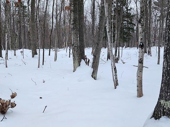 3rd image of 8107 Deer Ridge Ct