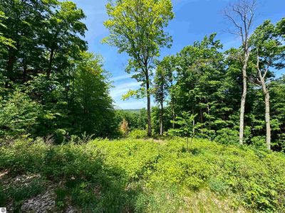 S Blake Ln, Lake Leelanau, MI, 49653