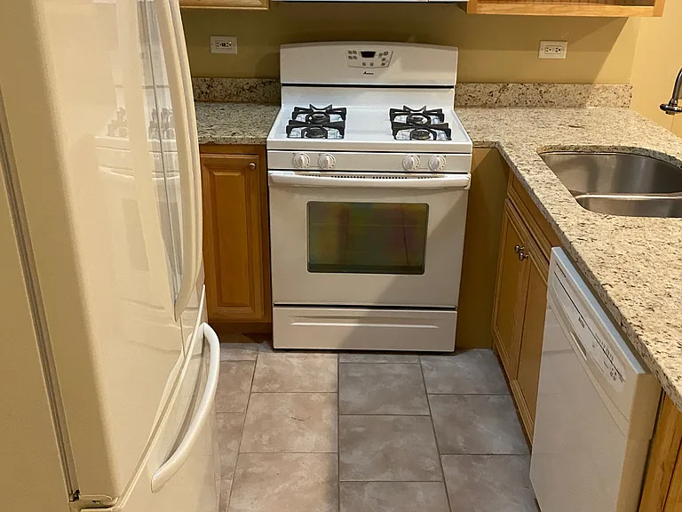 2728 W Lunt Ave — Photo 2