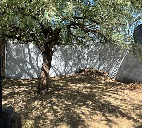 2nd image of 812 S Greenleaf Ln #812