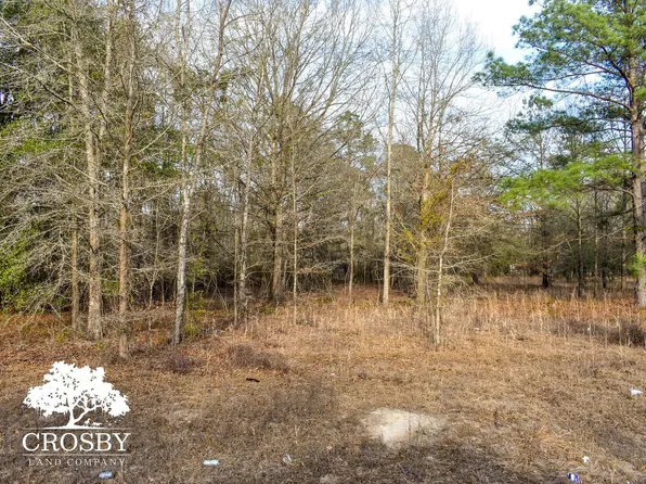 Steep Botttom Rd, Estill, SC 29918