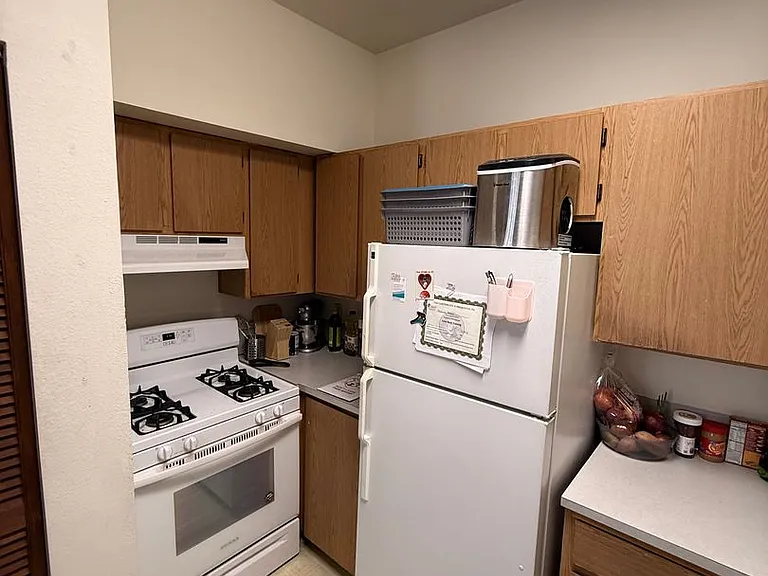 310 E Chestnut St — Photo 15