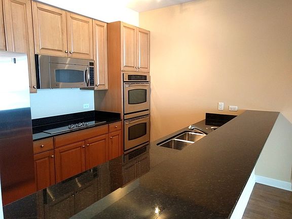 5th image of 1235 S Prairie Ave APT 2503