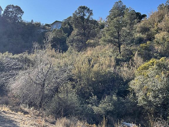 5th image of 652 S Canyon Dr E