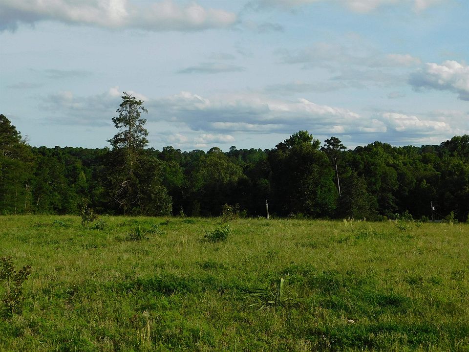 1st image of Groundhog Rd