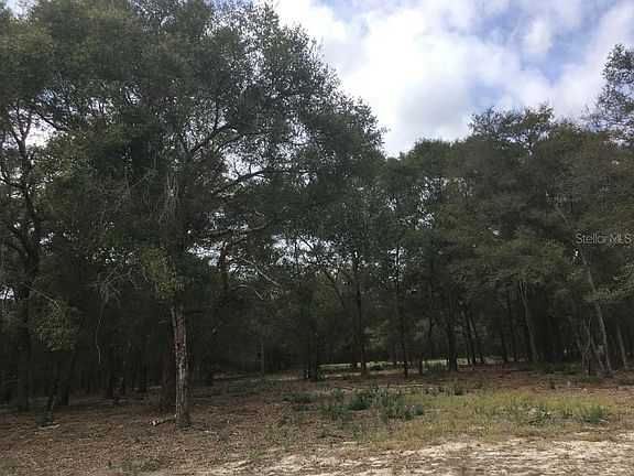 3rd image of 33811 County Road 468