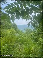 2nd image of Hatfield Creek Rd