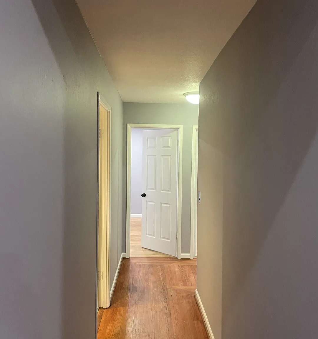 334 Lassenpark Cir — Photo 2