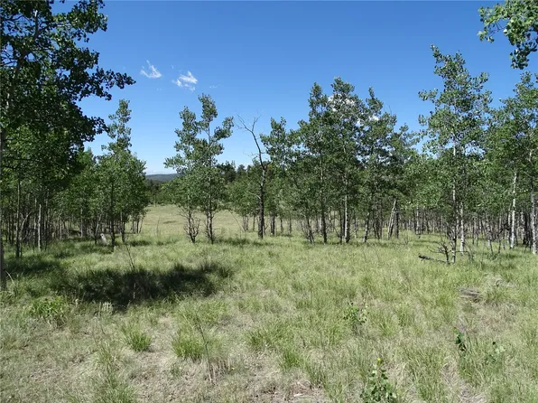 782 Bowstring Road, Como, CO 80432