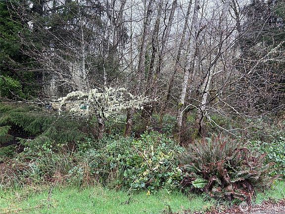 2nd image of 303 XX Stackpole Lane