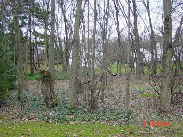 Rear yard