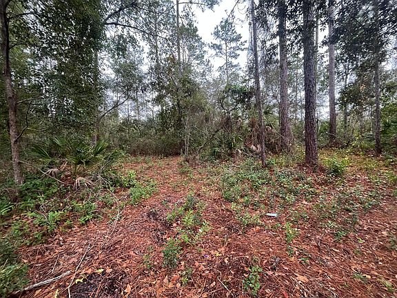 4th image of Tbd Susan Street