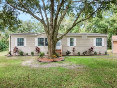 38521 Lakeview Dr, Lady Lake, FL, 32159