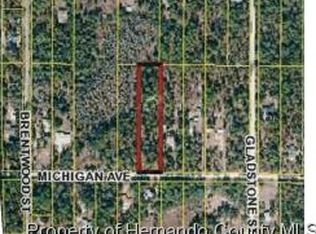 9141 Michigan Ave, Weeki wachee, FL 34613
