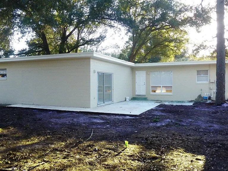 Rear yard and patio