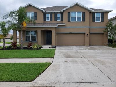 11902 Quack Grass Ct, Riverview, FL, 33579