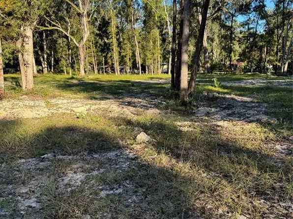 460 NE 364th Ave, Old Town, FL 32680