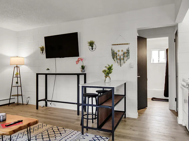 1 bedroom unit